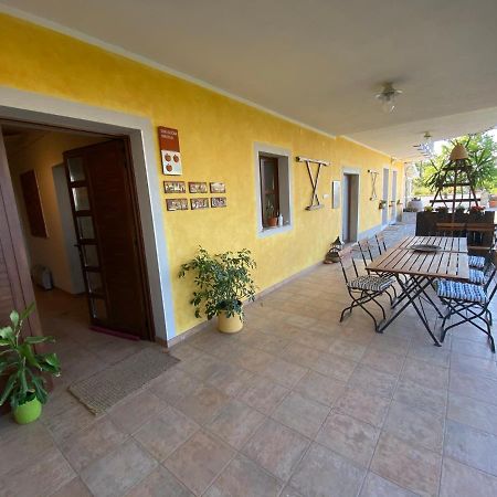 Med Oljkami Apartment Koper Bagian luar foto