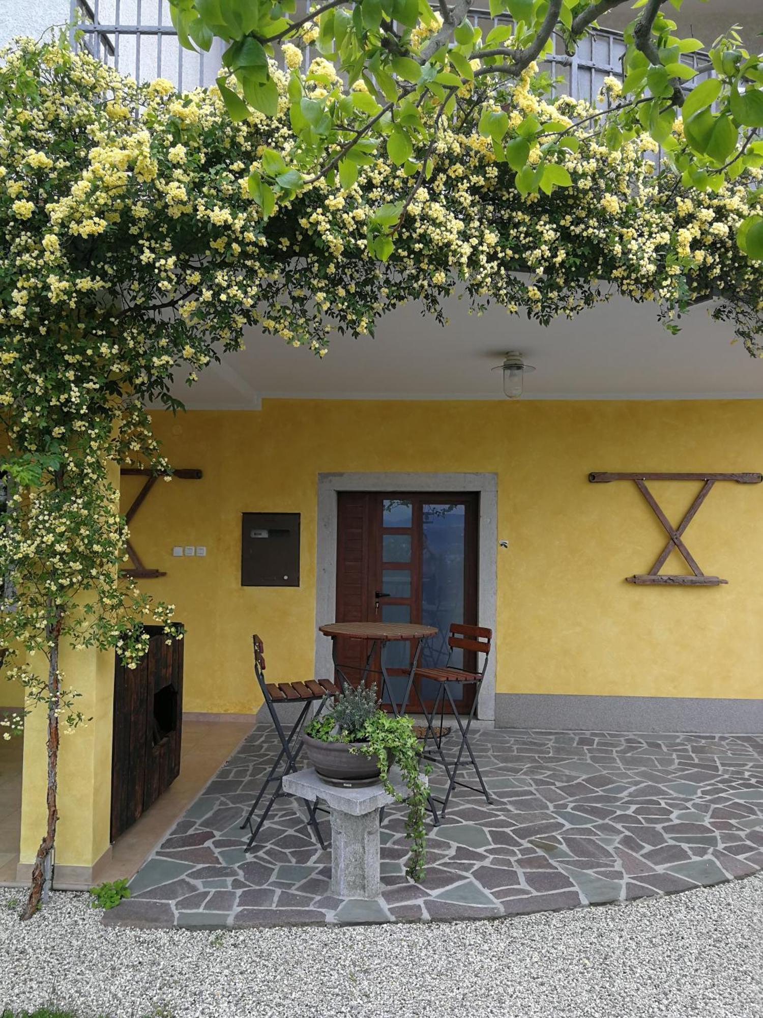 Med Oljkami Apartment Koper Bagian luar foto