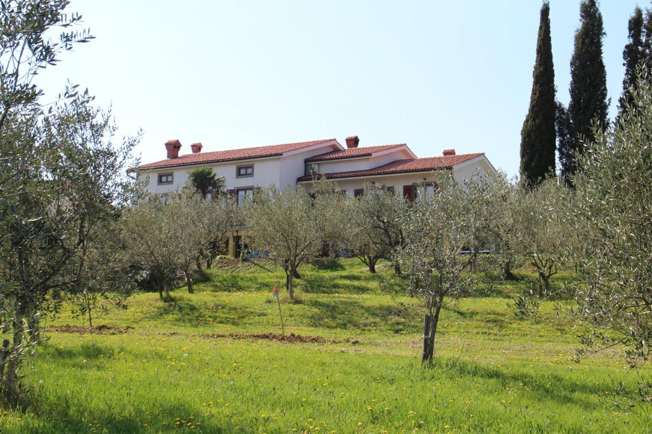 Med Oljkami Apartment Koper Bagian luar foto