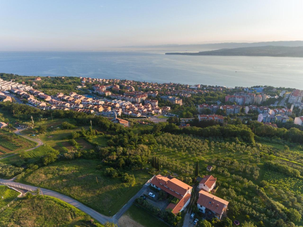 Med Oljkami Apartment Koper Bagian luar foto